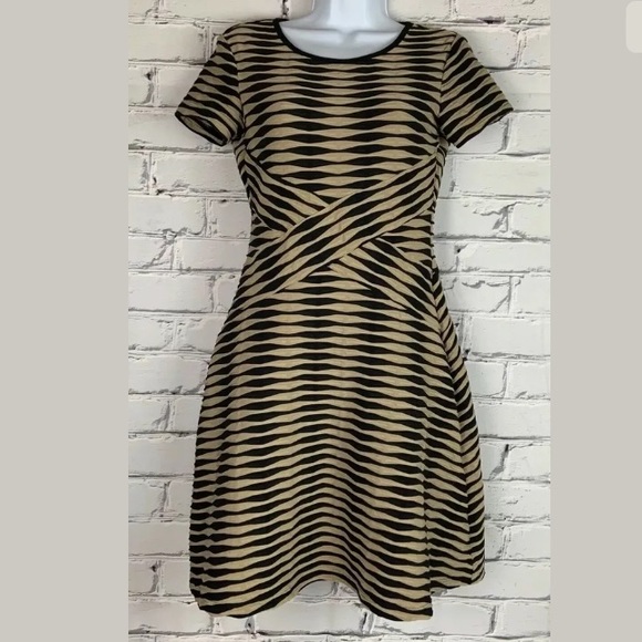 LOFT Dresses & Skirts - Ann Taylor LOFT Midi Stripe Pattern Skater Dress 2